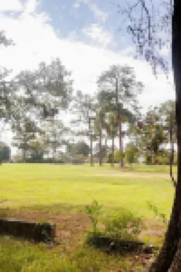 Cozy Golf Course Townhouse On The Beautiful Dothan Country Club