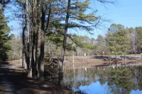 Beautiful Beach Cottage in Ocean Pines