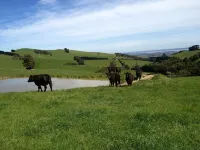 Nirvana House Farm Stay in Woolamai with incredible 360 degree views 울라마이 호텔