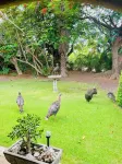Hawaiian Family Paradise Retreat – Near Beach & Golf!