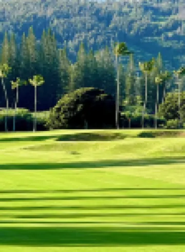 NEW North Shore Oahu: Turtle Bay 1 bedroom plus 1 loft bedroom 卡夫庫酒店