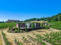 Vineyard Stay at Bryn Mawr the “Right Amount of Everything”