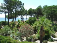 Un Balcon sur la Méditerranée 1