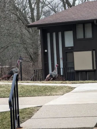 Quaint, quiet condo minutes from Lake Geneva Отели в г. Дженива