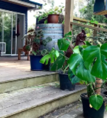 Delightful, dog friendly, cosy fire, comfy beds