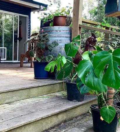 Delightful, dog friendly, cosy fire, comfy beds