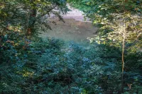 Creek View, Covered Decks & Private Hot Tub, Woods, Peaceful, Wildlife!