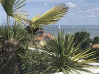 180° Sea View-Terrace-Rooftop-Plage-City Center-Fiber-Netflix-Clim-Garage - Ocean View