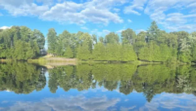 Cozy lakeside glamping dome with fireplace, AC and full bath.