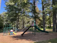 Cozy cabin nestled in the woods, 5 minutes to Sunapee Mountain & lake!