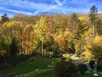 Forest view in the Lerbachtal / Harz