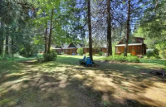 Whiskey Rock Cabin