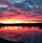 Waterfront 2 bed Cabin Suite w/ Fire-pit and patio!