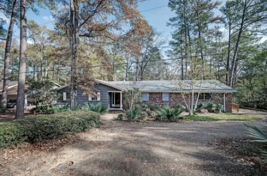 Hickory Suite: Luxury Studio in Safe/Central Location by WholeFoods & Hospitals