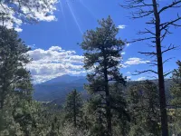 Sunny Treetop Tiny Home! Beautiful Pikes Peak View!