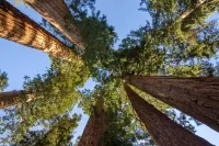 Cozy Condo minutes from the Sequoia National Park