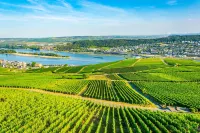 LaBed - central apartment on a vineyard, private terrace, free wifi, 2 bedrooms