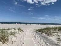 Ocean Ave 5Br: Huge Fenced Yard, Pet Friendly, 2 Houses to Beach + Shark Park!