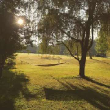 Art & Nature Retreat Suite Near Mountains, Airport & University of TN