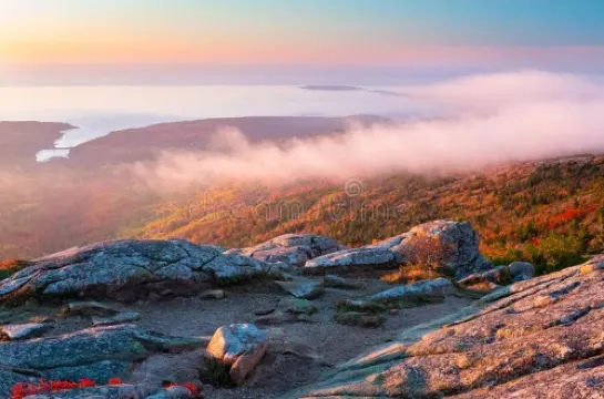 See Downeast Maine and Acadia National Park and stay in the Hummingbird!