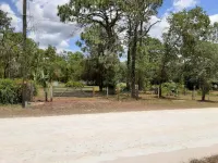 Small Town Florida