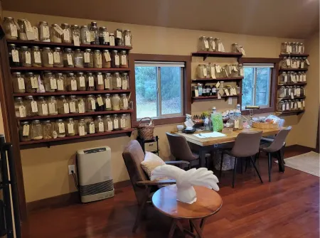 Cozy Cabin in the Pines