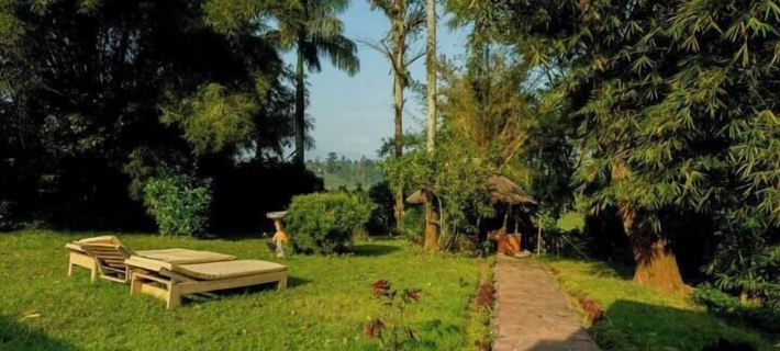 Ruwenzori View Guest House Hotels in Kabarole