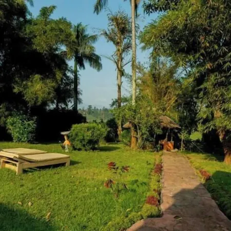 Ruwenzori View Guest House