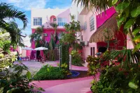Santuario Playa - pet friendly