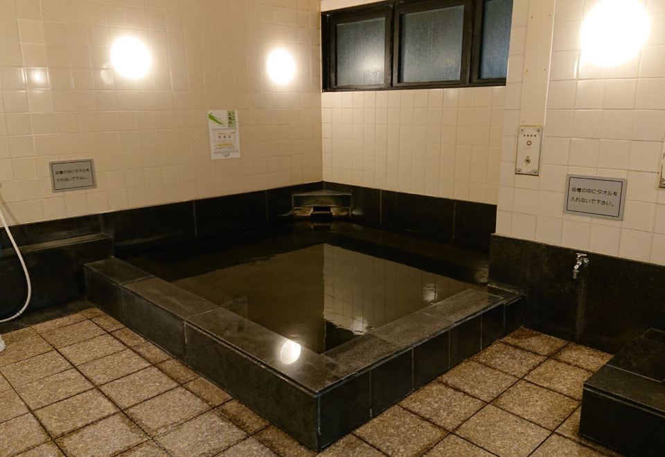 호텔 캐슬 플라자 다가조