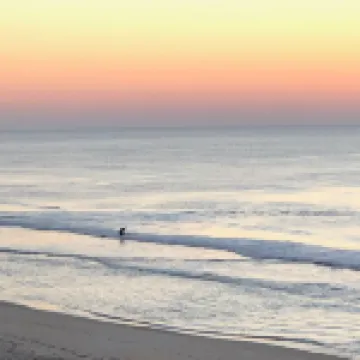 Off Season Short Term Rental Oceanfront Oasis House 5 Bedroom, 3.5 Bath Elevator