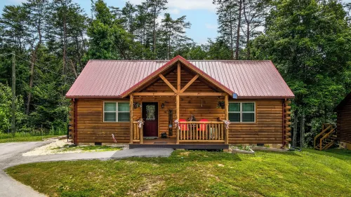 A Bearadise - Tiny Houses