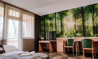 Park Hotel Sóstó
