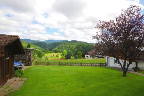 Apartment in Sallneck Near Nonnenmattweiher Lake