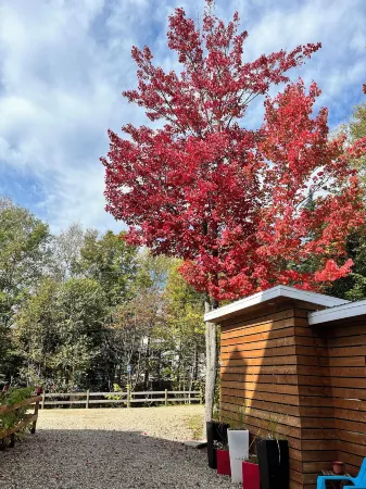 Gîte Nature et Pinceaux