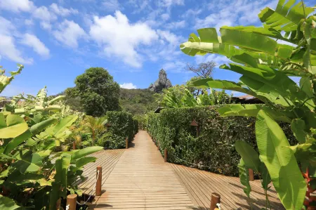 Dolphin Hotel Отели в г. Фернанду-ди-Норонья