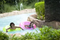 Waldorf Astoria Orlando - Luxury