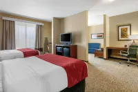 Comfort Suites Hotels in Forrest City