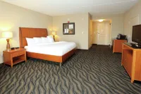 Hilton Garden Inn Chesapeake/Suffolk - Wifi