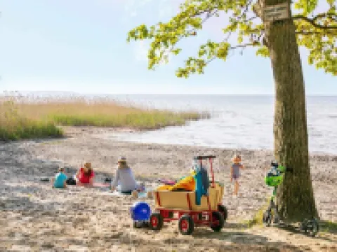 Ferienwohnung im Ferienpark Mueritz Hotels in Rechlin