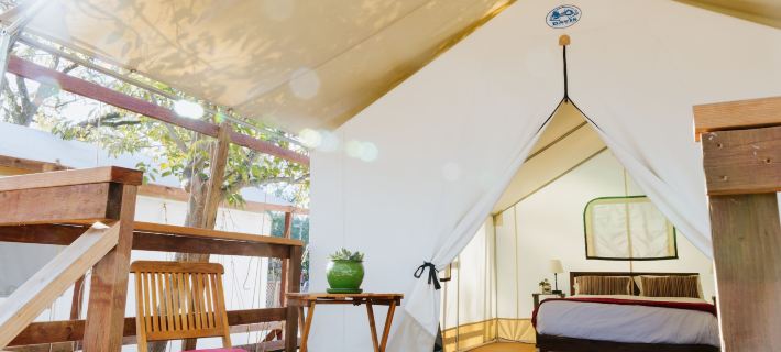 Wildhaven Sonoma Glamping Hotels in Sonoma County