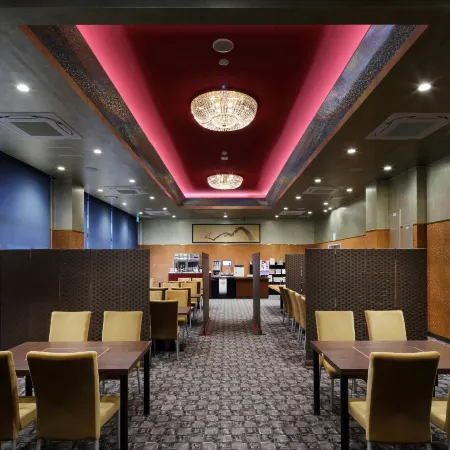 Venezian Hotels Shiroishi Zao Отели в г. Какуда