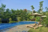 Sarga Earthing Resort - Pools