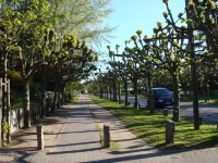 Sea view, WLAN, elevator, 2 balconies, shutters, awning, family friendly