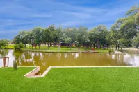 New Colorado River Home w/ Large Deck, Canoe & Paddleboards