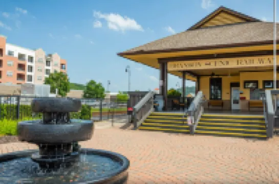 Community Pool and Outdoor Entertainment - Inviting Ozark Retreat