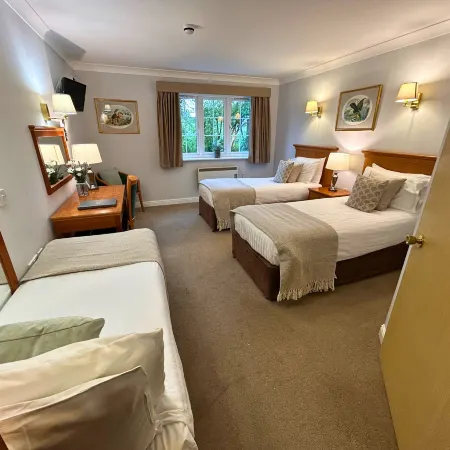 New Forest Lodge