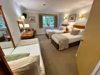 New Forest Lodge Hotels in Salisbury