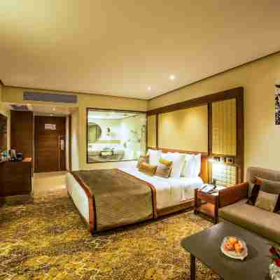Sayaji Indore Rooms