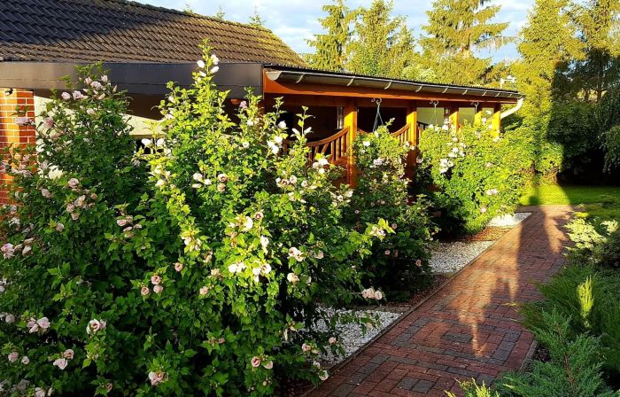 Satow Gartenwohnung